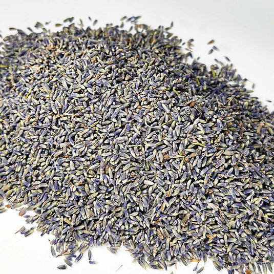 Super Blue French Lavender in Bulk - Creekwood Naturals