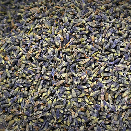 Super Blue French Lavender in Bulk - Creekwood Naturals