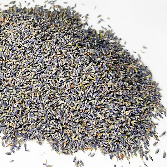 Super Blue French Lavender in Bulk - Creekwood Naturals